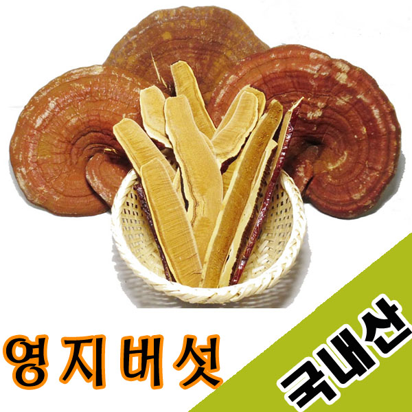 국산 영지버섯 500g/ 조각